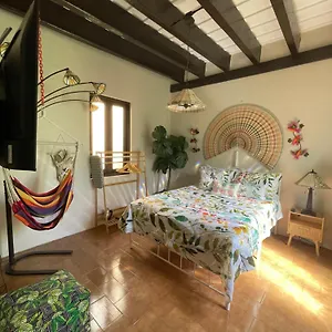 The Garden Apartment, The Willow Apartment, & The Tropical At Casa Of Essence In Old Apartment